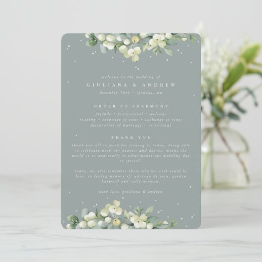 シーフロムグリーンスノーベリー+ユーカリプトゥスウィンターウェディング プログラム (スタンド正面)