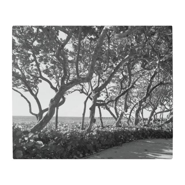 シーブズウォールアートジュピタービーチ メタルプリント (正面)