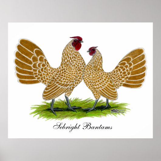 シーブリツバフレース ポスター (正面)