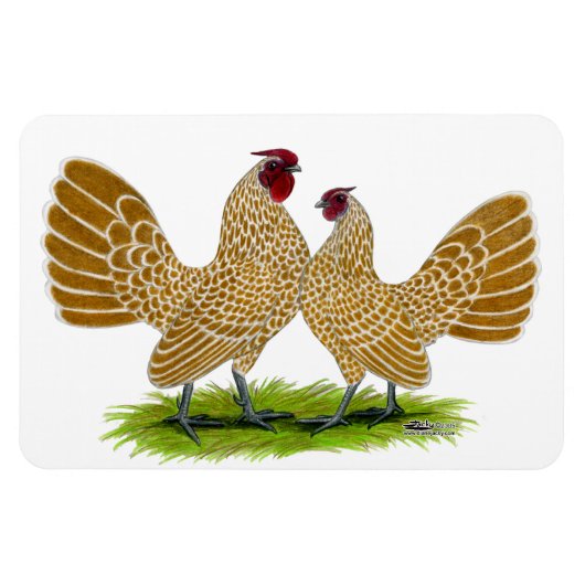 シーブリツバフレース マグネット (横)