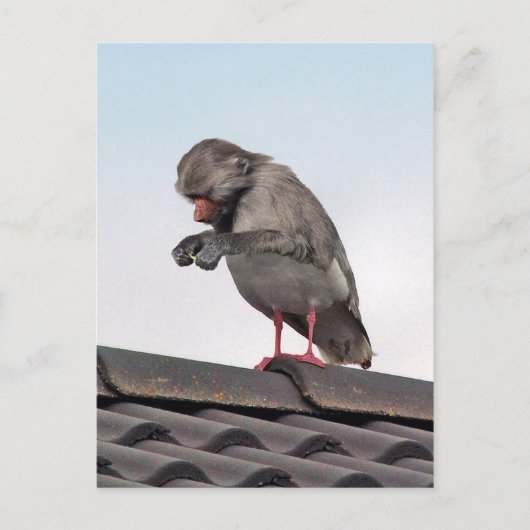 シーブーン ポストカード (正面)