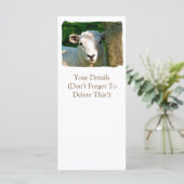 シープカード (スタンド正面)