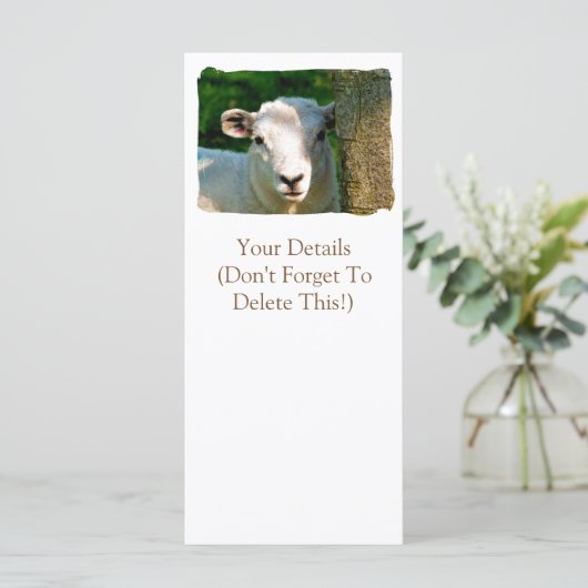 シープカード (スタンド正面)