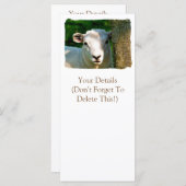 シープカード (正面/裏面)