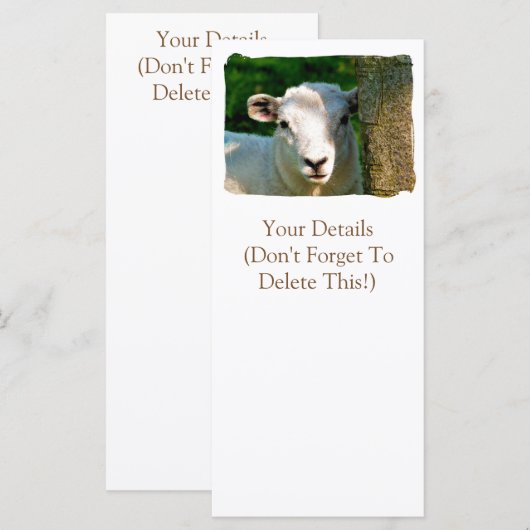 シープカード (正面/裏面)