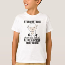 シープストーム北ドイツ北海沿岸