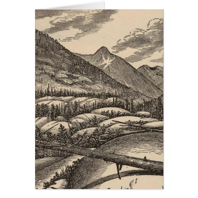 シープバック (正面)