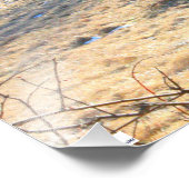 シープフォトプリント フォトプリント            (角)