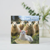 シープフックシープヘルドベビーラム カード (スタンド正面)