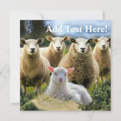 シープフックシープヘルドベビーラム カード (正面)