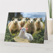 シープフックシープヘルドベビーラム サンキューカード (裏面)