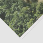 シープフックシープヘルドベビーラム 薄葉紙 (詳細)