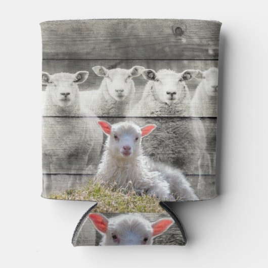 シープフロックベビーラムクーラーボックス 缶クーラー (正面)