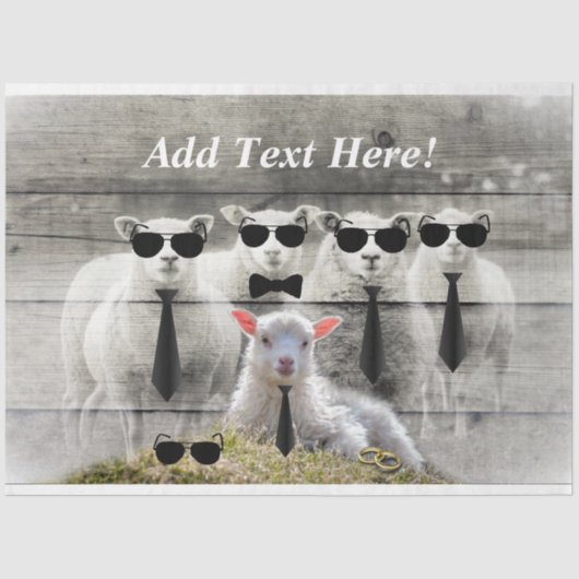 シープフロックベビーラムティッシュペーパー 薄葉紙 (正面)