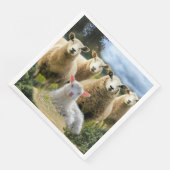 シープフロックベビーラム (コーナー)