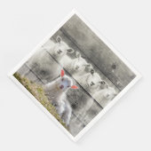 シープフロックベビーラム (コーナー)