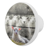 シープフロックベビーラム セラミックノブ (右)