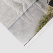 シープフロックベビーラム 薄葉紙 (詳細)