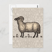 シープラムファームアニマルヴィンテージ ポストカード (正面/裏面)