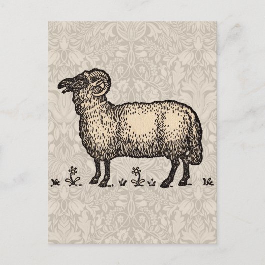 シープラムファームアニマルヴィンテージ ポストカード (正面)