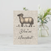 シープラムファームアニマルヴィンテージ 招待状 (スタンド正面)