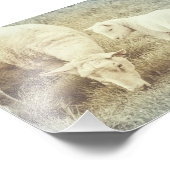 シープラムベビーアニマルズ子供部屋ファインアート フォトプリント            (角)