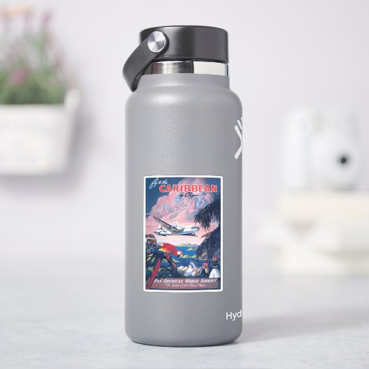 シープレーンの旅行ポス飛んでいるターカリブの シール (HydroFlask)