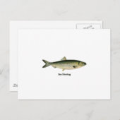 シーヘリング ポストカード (正面/裏面)