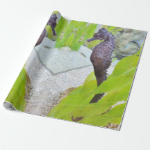 シーホースのギフトラップ