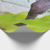 シーホースのギフトラップ ラッピングペーパー (角)