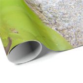 シーホースのギフトラップ ラッピングペーパー (ロールコーナー)