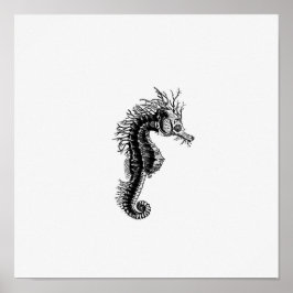 シーホースイラストレーション ポスター