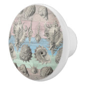 シーホースウッド航海のビーチシェルブルーピーチ セラミックノブ (右)