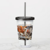 シーホースシーズヘルズスターフィッシュパールビーチ アクリルタンブラー (正面)