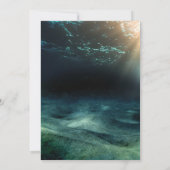 シーホース水族館航海の海結婚ズ 招待状 (裏面)