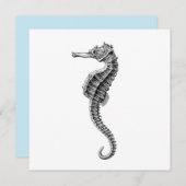 シーホース海洋生物フラットカード (正面/裏面)