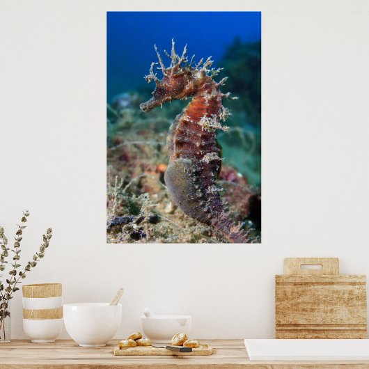 シーホース |ヒポキャンパスラムロソス ポスター (キッチン)