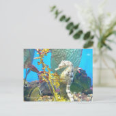 シーホース ポストカード (スタンド正面)