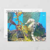 シーホース ポストカード (正面/裏面)