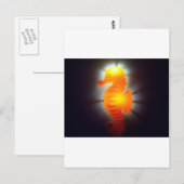 シーホース ポストカード (正面/裏面)