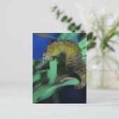 シーホース ポストカード (スタンド正面)