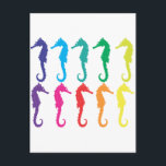 シーホース ポストカード<br><div class="desc">このデザインの虹の色の馬の束。</div>