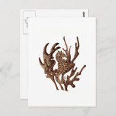 シーホース ポストカード (正面/裏面)