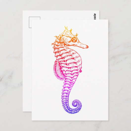 シーホース、ヴィンテージ海獣イラストレーション ポストカード (正面/裏面)