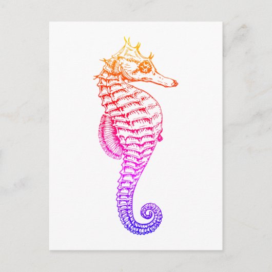 シーホース、ヴィンテージ海獣イラストレーション ポストカード (正面)