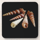 シーホーン コースター (正面)