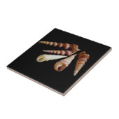 シーホーン タイル (側面)