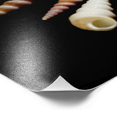 シーホーン フォトプリント            (角)