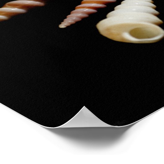 シーホーン ポスター (角)