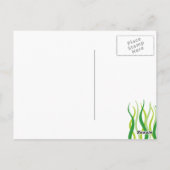 シーボーイ・バースデーパーティーの下で ポストカード (裏面)